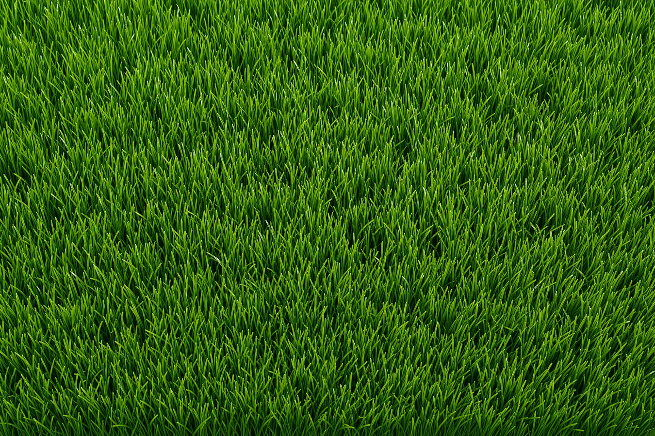 Synthetic lawn turf in Alamo, TX